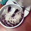 宠物窝 猫锅 铝制 降温散热