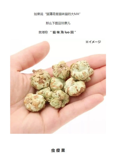 Leaf Corp 猫咪虫瘿果颗粒 8个装