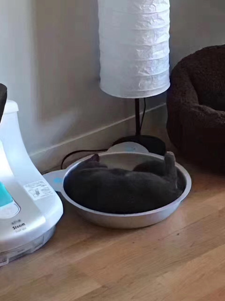 宠物窝 猫锅 铝制 降温散热